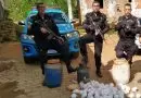 PMs apreendem 4.573 pinos de cocaína em Pádua