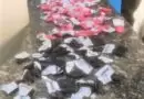 PM apreende 152 pinos de cocaína em Santo Antônio de Pádua