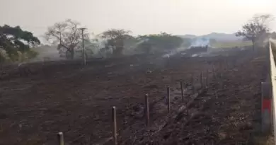 Polícia Ambiental identifica incêndio florestal às margens da BR-356, em Itaperuna